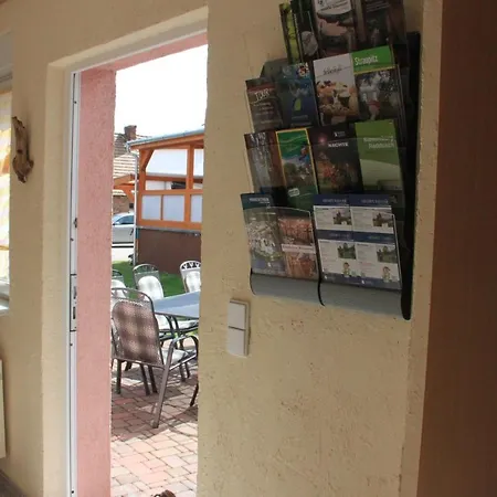 Hibiskus * Stennewitz